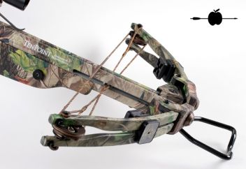 Pro Elite QX 4 (977)