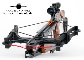 Twinbow II .. (1235)