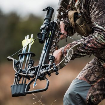 Wolverine Bottomland (40th Anniversary) (4361)