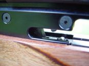 Safari Classic (748)