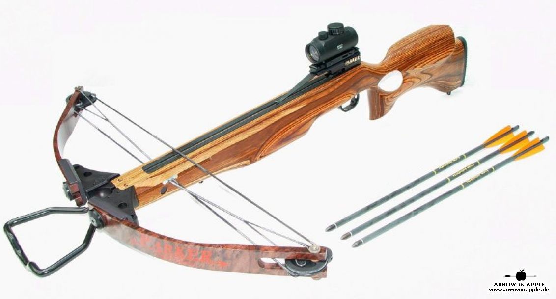 Safari Classic (803)