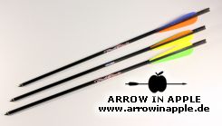 20 Zoll Firebolt Carbon (1382)