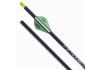 20" TenPoint ACU-X 20 Premium Carbon, 2" Blazer Vanes, .001, Messing Insert, ACU-X Snap-On Nock gr&uuml;n (5344)
