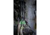 20" TenPoint ACU-X 20 Premium Carbon, 2" Blazer Vanes, .001, Messing Insert, ACU-X Snap-On Nock gr&uuml;n (5346)