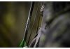 20" TenPoint ACU-X 20 Premium Carbon, 2" Blazer Vanes, .001, Messing Insert, ACU-X Snap-On Nock gr&uuml;n (5352)