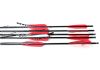 22" Eastman Aluminum Crossbow Bolt 2219, 5" Vanes, Alu Insert, Halbmond Nock (1243)