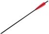 22" Eastman Aluminum Crossbow Bolt 2219, 5" Vanes, Alu Insert, Halbmond Nock (967)