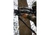 TenPoint DeadRest Carbon Stability System (Monopod) (5333)